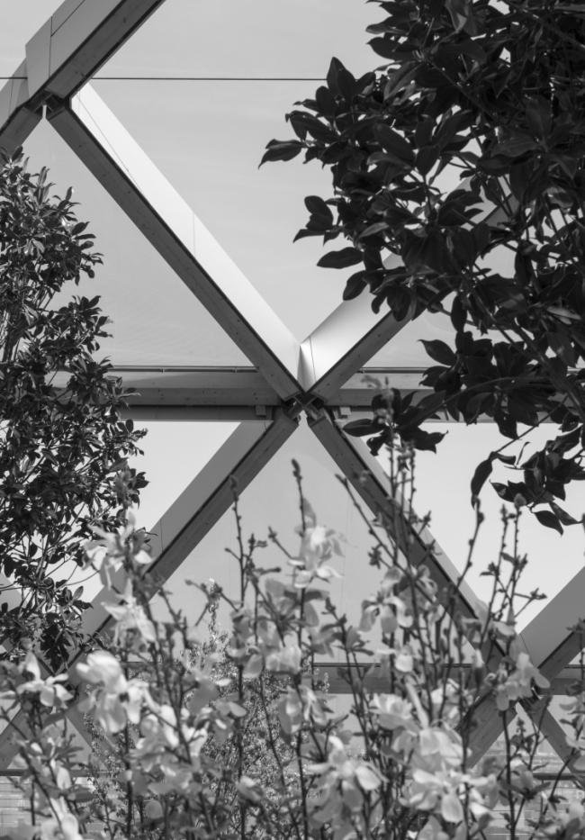 Crossrail「КэнериУорф」车站及屋顶商场与花园丨英国伦敦丨Foster+Partners,Gillespies,ARUP等-28