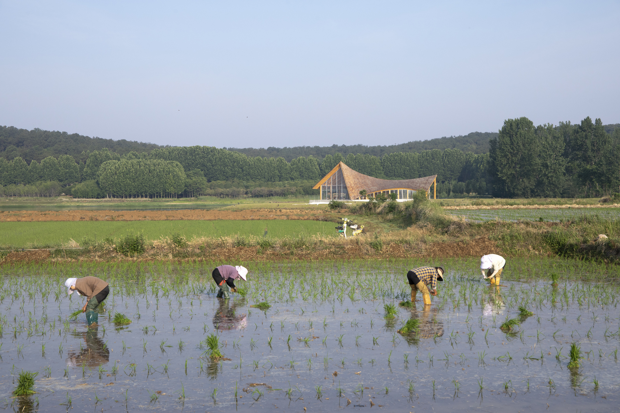 丨中国信阳丨Primary Architects-44