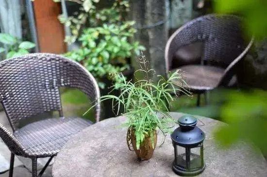 院落生活 | 诗与远方的完美结合-65