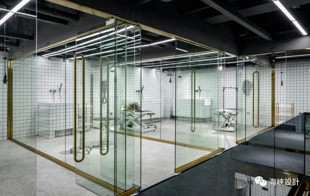 福州卡夫·House 五星級寵物店,設計演繹浪漫與精致-27