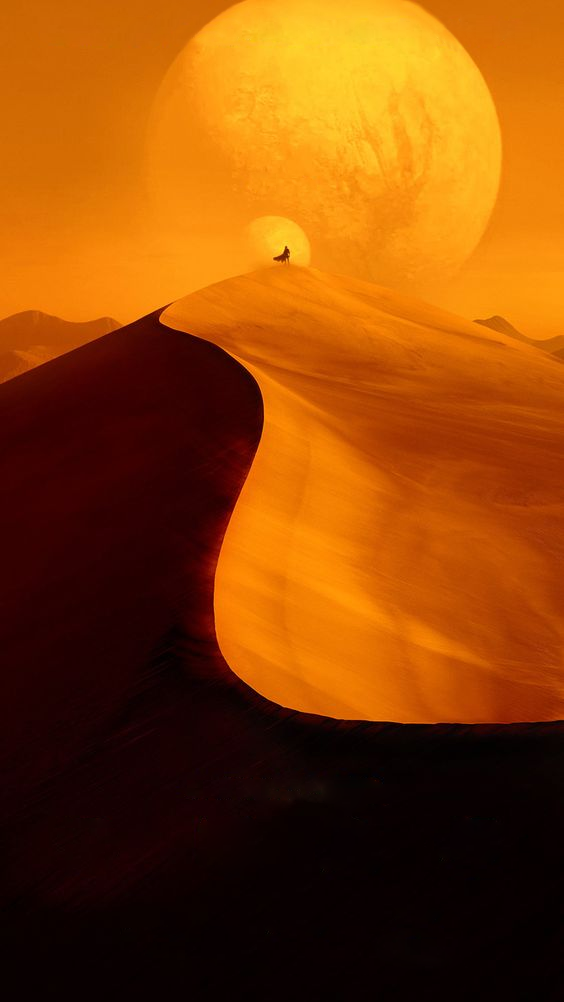 悦盛庭 SPA 疗愈馆丨中国海口丨成都繁锦设计有限公司-22