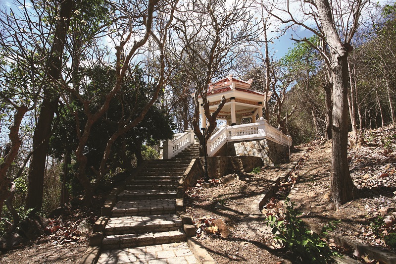 Bạch Dinh Vũng Tàu（头顿白宫）丨越南-15