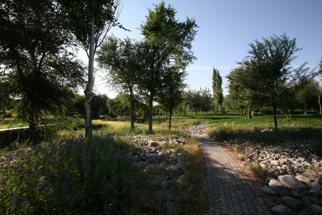 新疆博乐人民公园改造-53