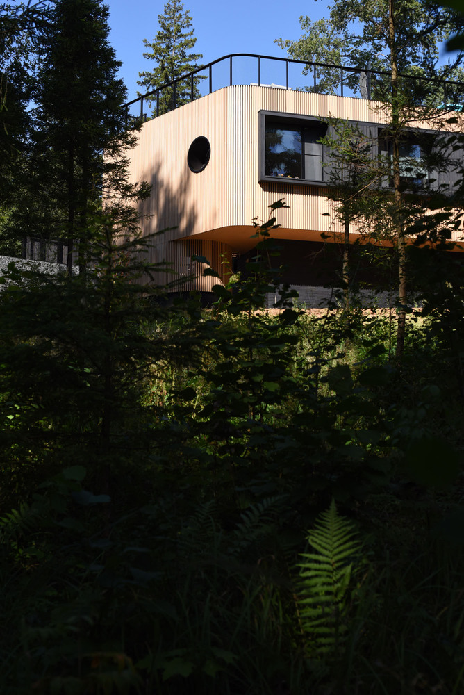 俄罗斯莫斯科 Oblast 老松树环绕的生态家园-56