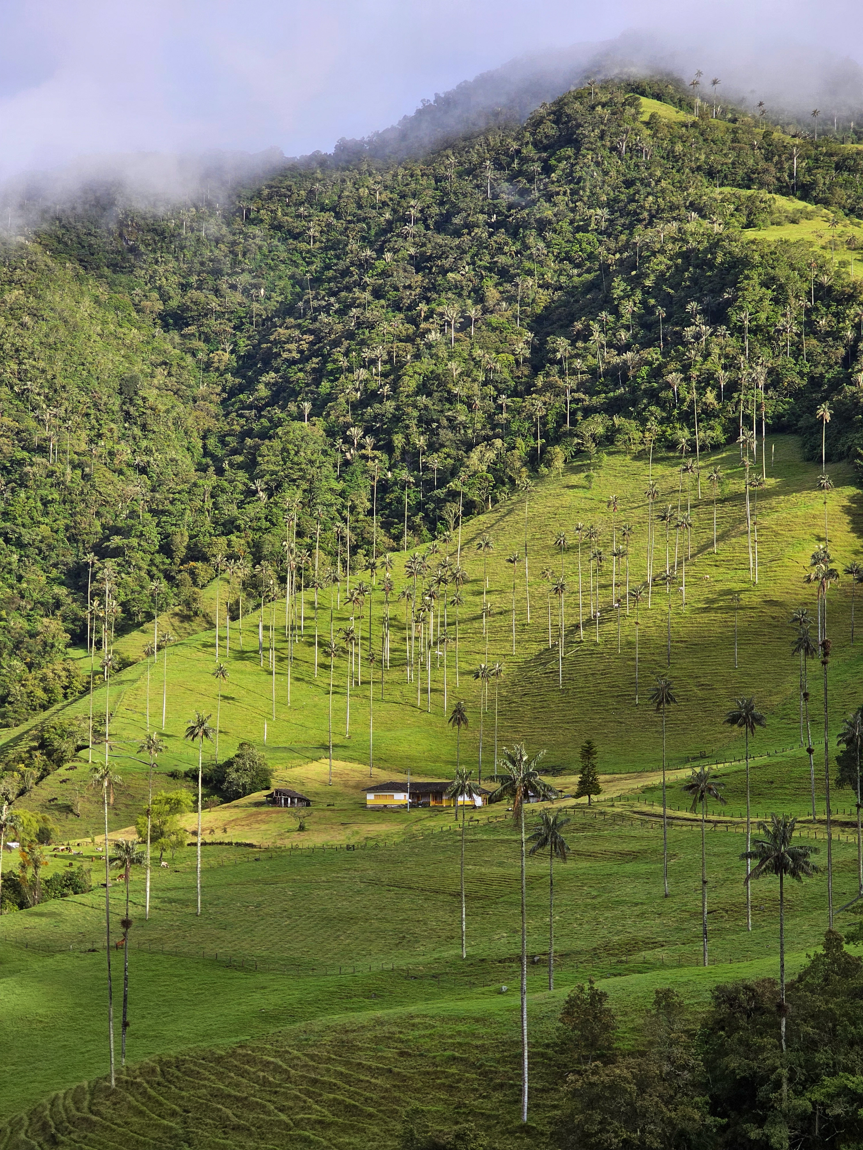 Colombia-9