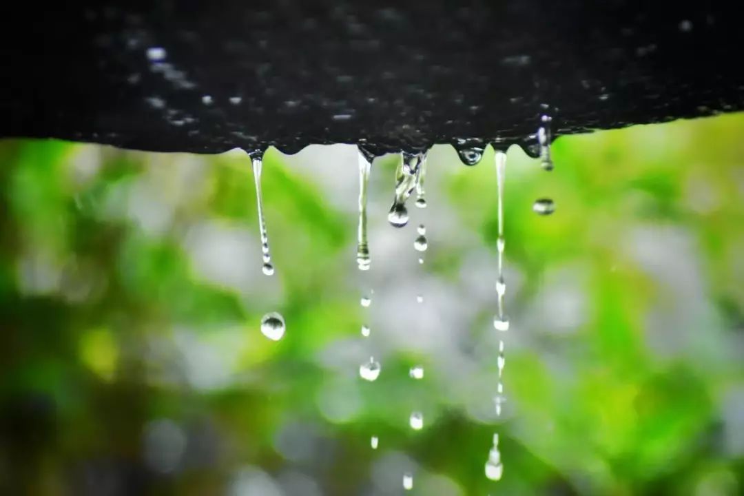 春雨中的紫禁城 | 历史与设计的完美碰撞-41