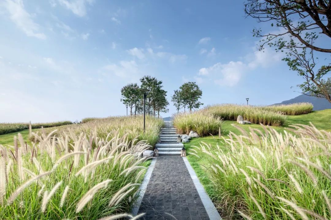 《安家》启示 | 寻找理想之家，安放幸福生活-22