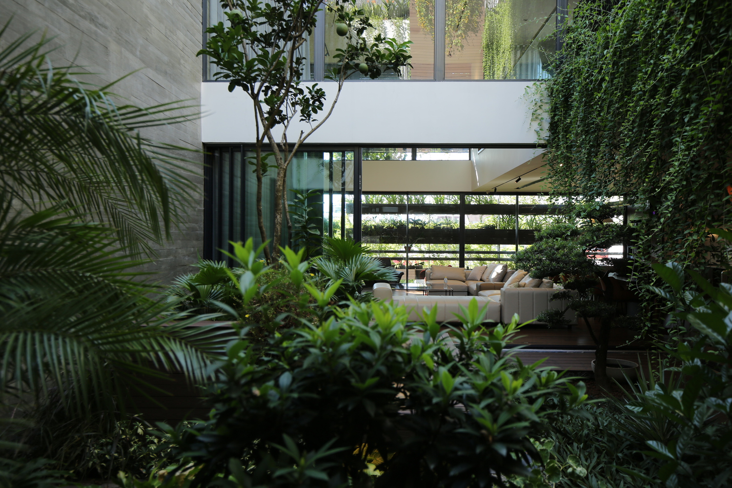 DKS House · 城市中心的绿色静谧之家丨越南-0