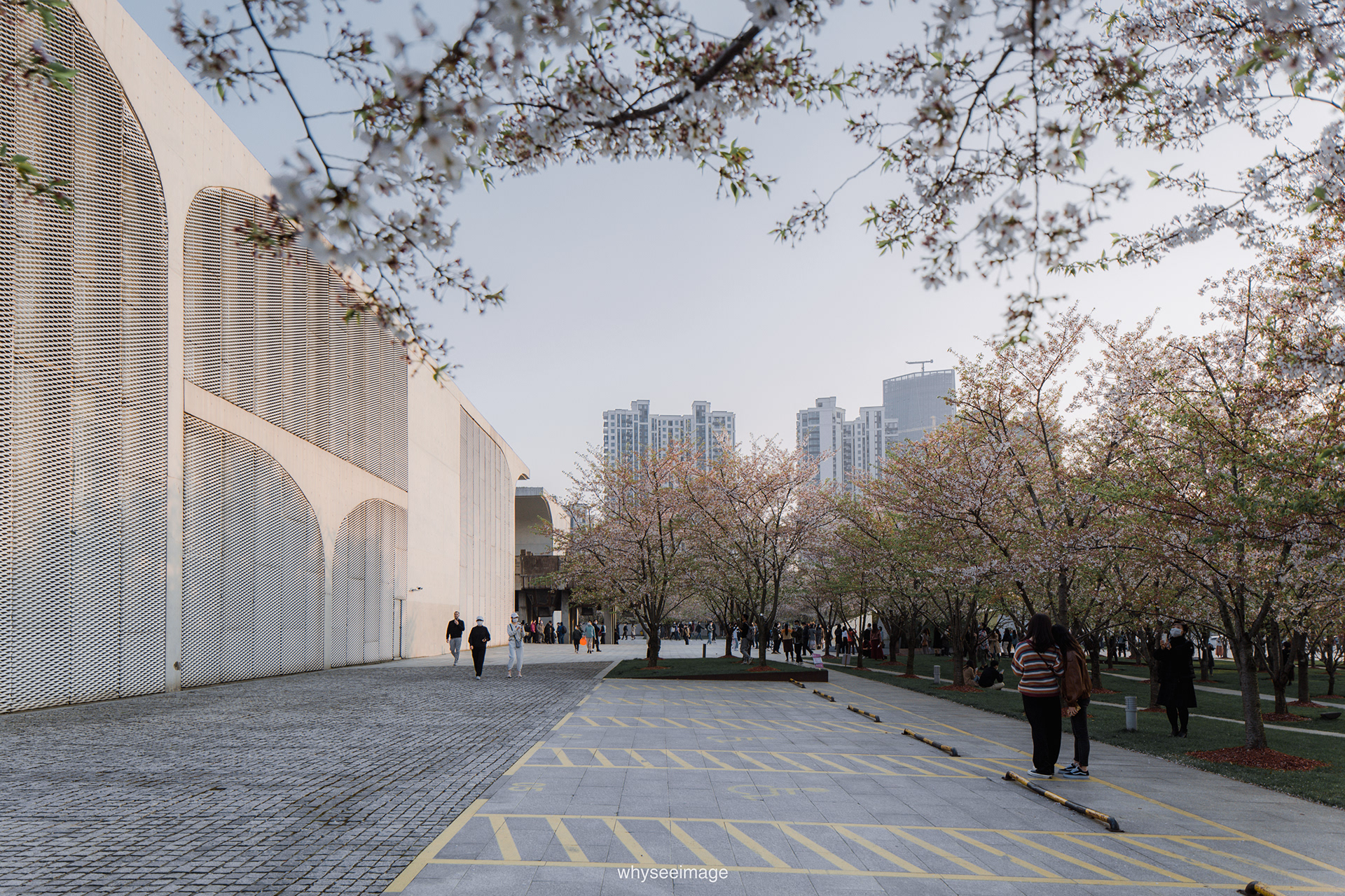 樱花+龙美术馆丨中国上海丨大舍建筑设计工作室-109