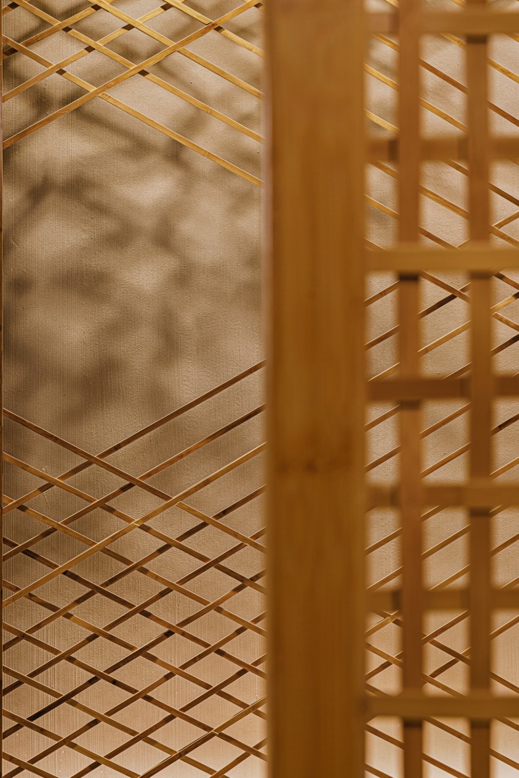 深圳觅居酒店-53