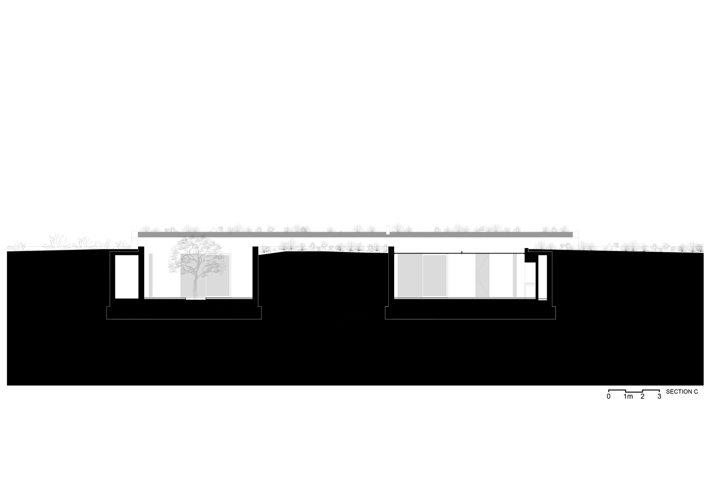 Redwood House 融入峡谷的现代住宅设计-48
