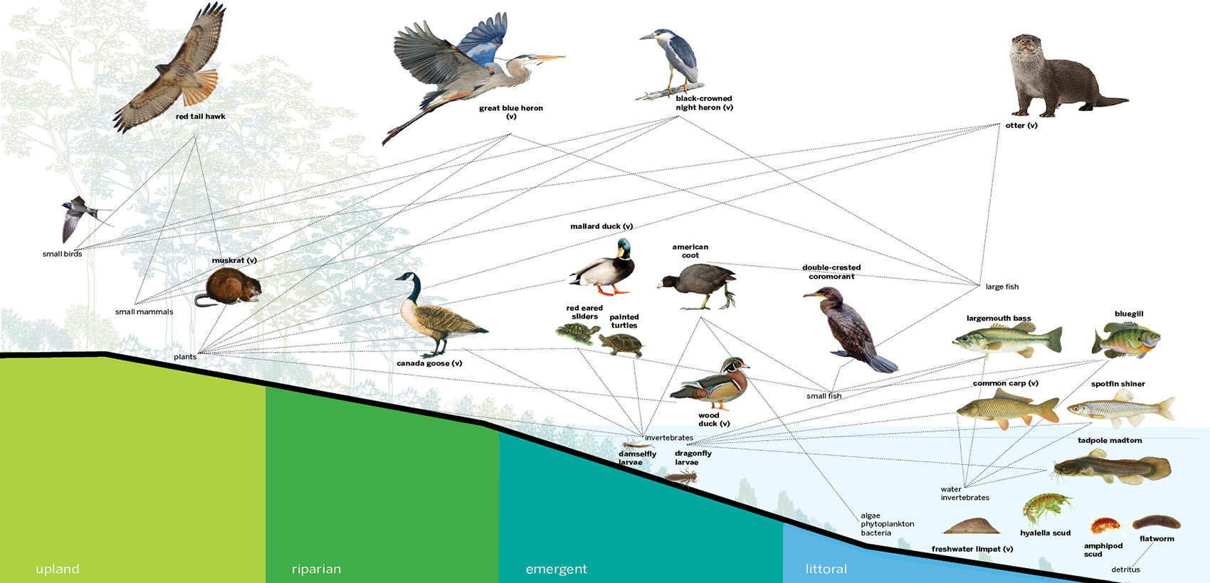 芝加哥“郊野一英里”丨美国芝加哥丨Omni Workshop+SOM-26