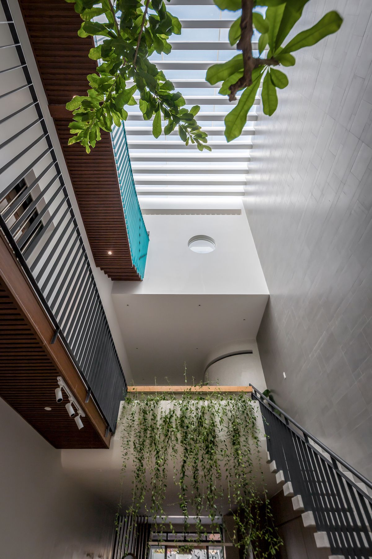 绿色桥梁连接多世代家庭-10