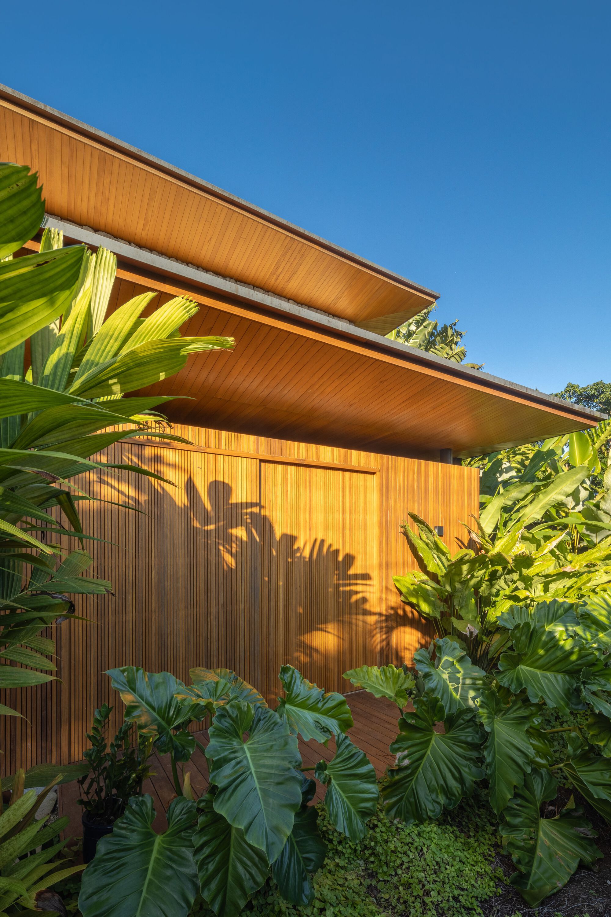 丨巴西丨Pitta Arquitetura-9