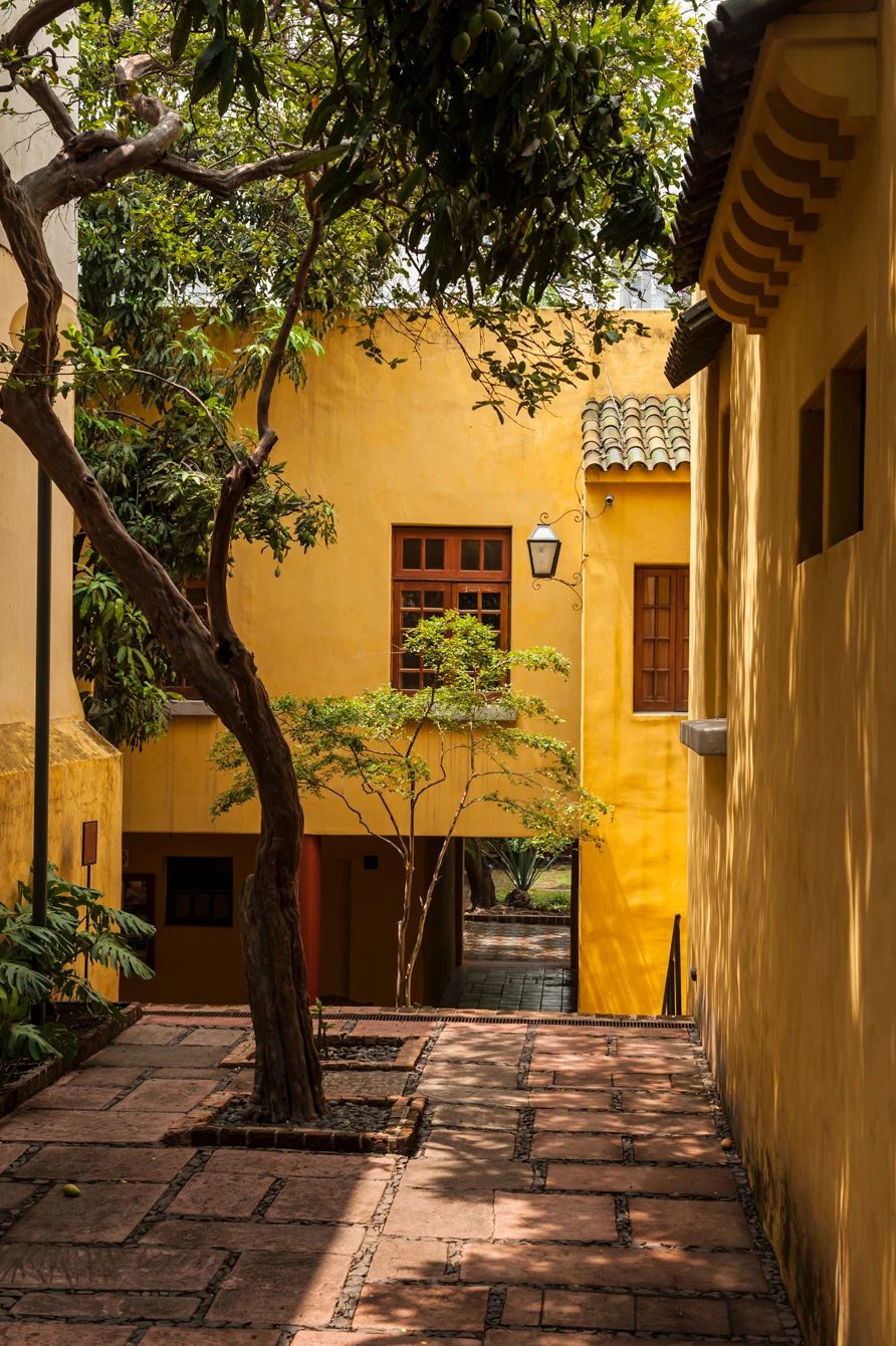 普列托洛佩斯之家丨墨西哥墨西哥城丨路易斯·巴拉甘-66