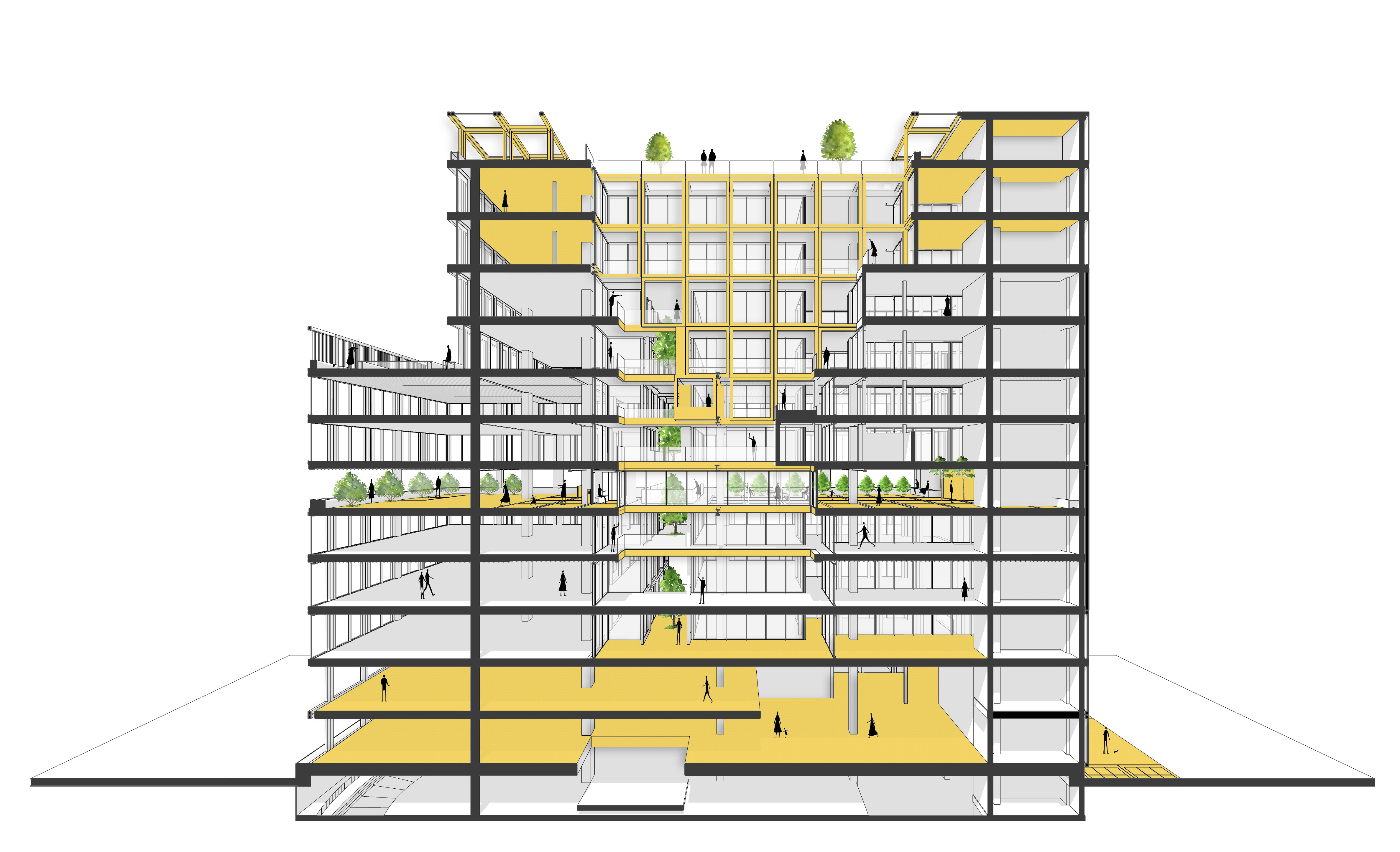 黄色细胞办公室丨Cedrus Studio-22