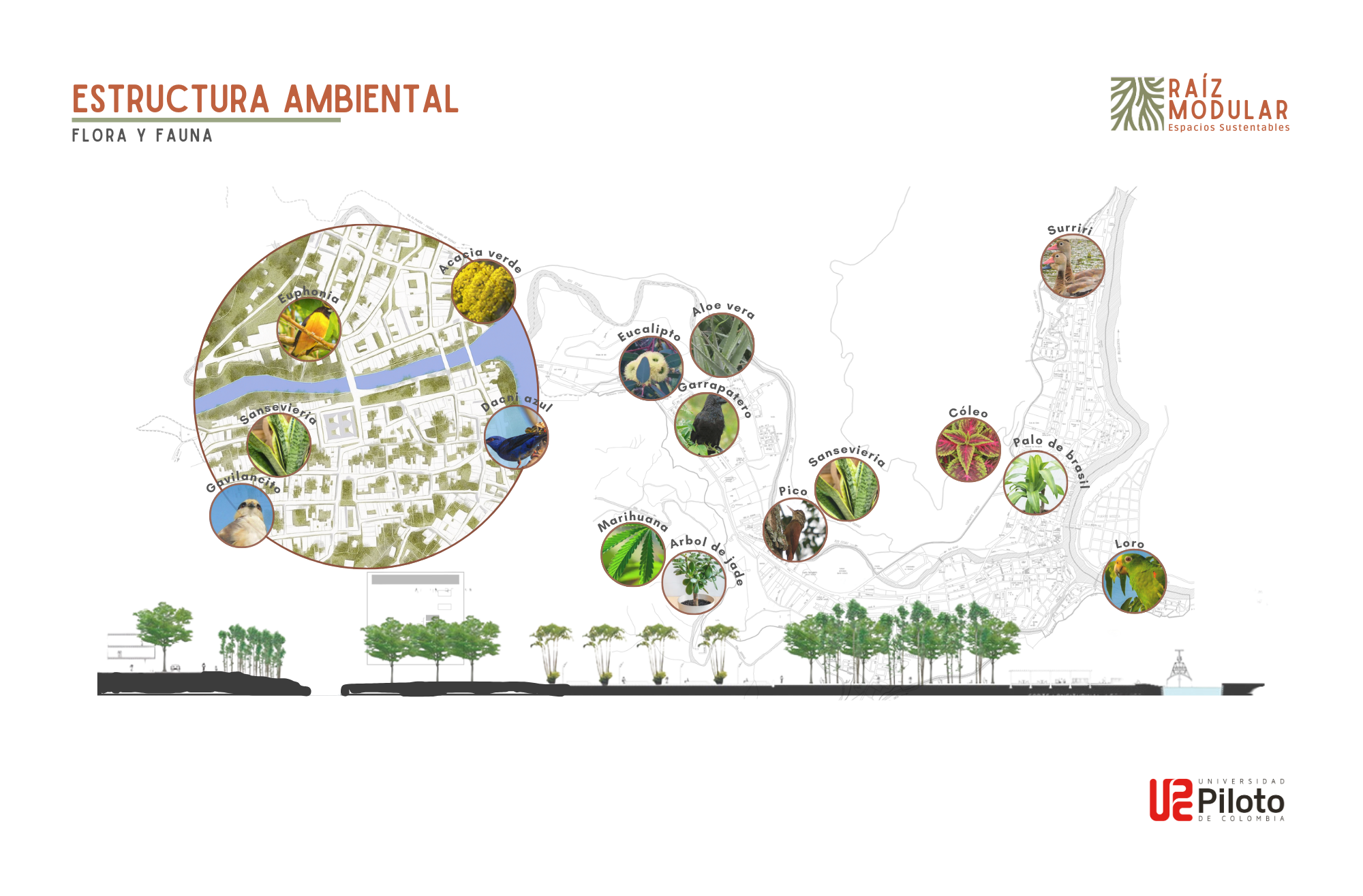 PLANEACIÓN TERRITORIAL-URBANISMO VI-4
