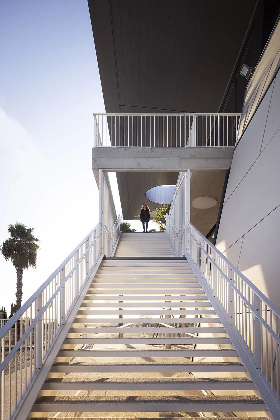 蒙彼利埃会展中心扩建丨法国丨A + ARCHITECTURE-19