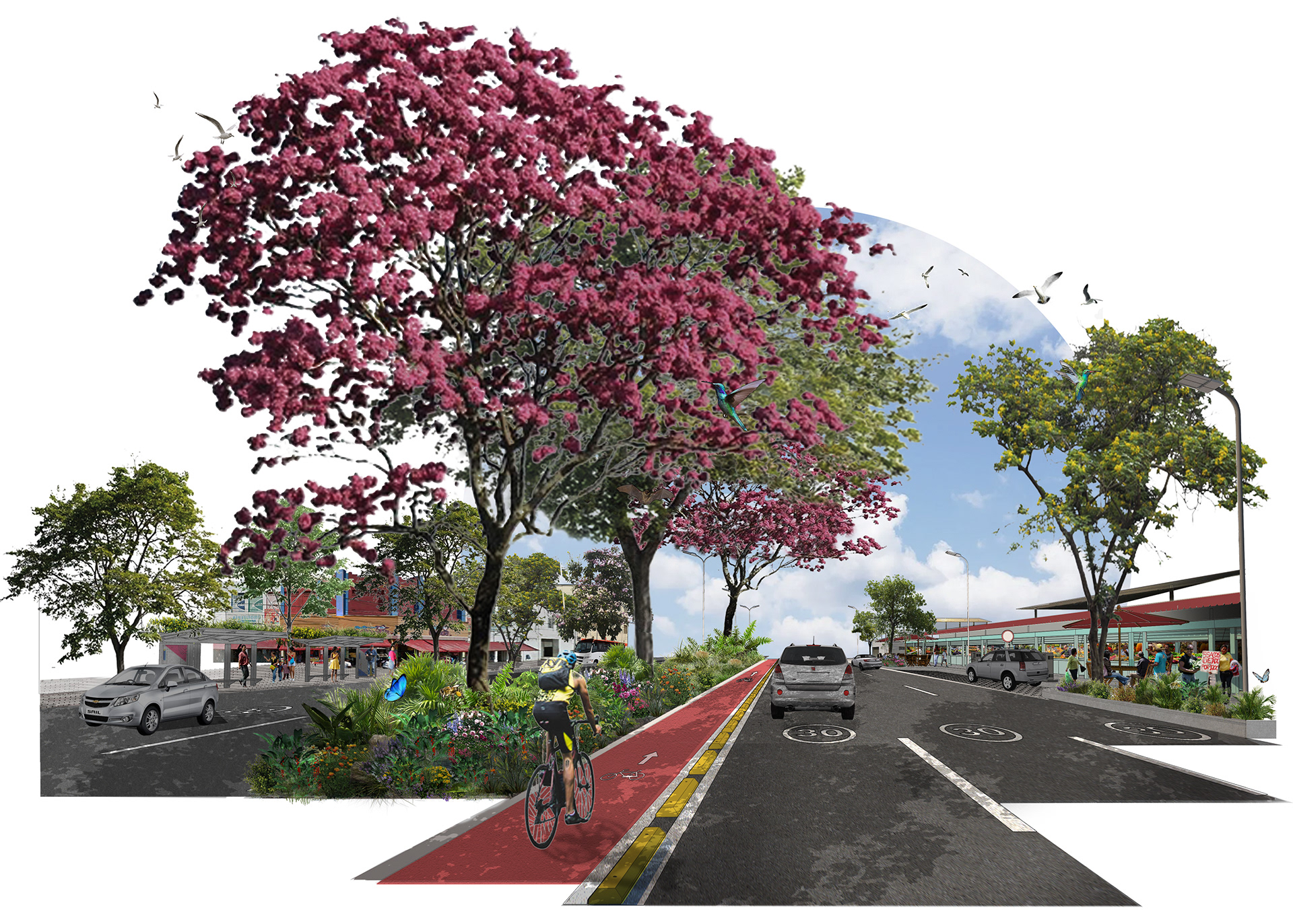 Barranquilla 城市复兴与绿化竞赛丨哥伦比亚丨SCINCO Arquitectas y Arquitectos-22