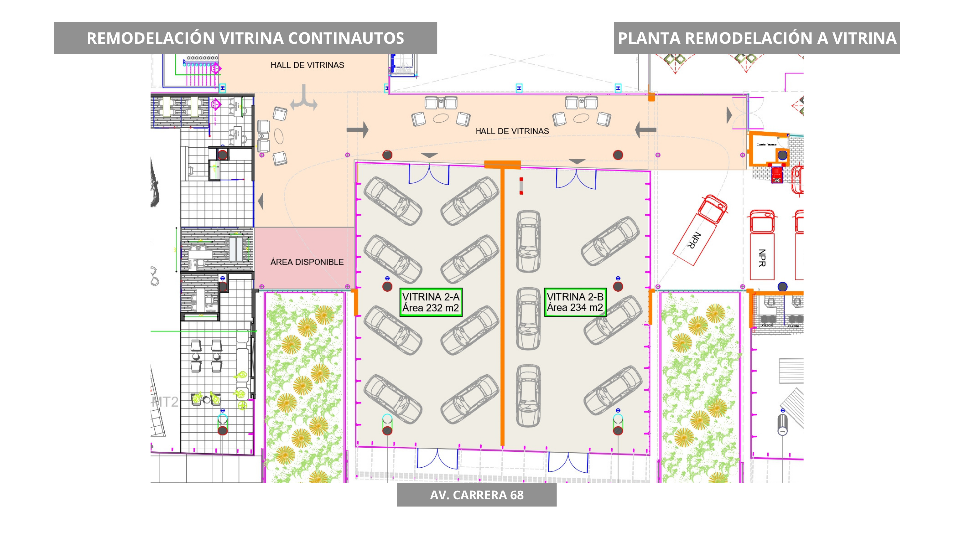 Remodelación a vitrina comercial-1