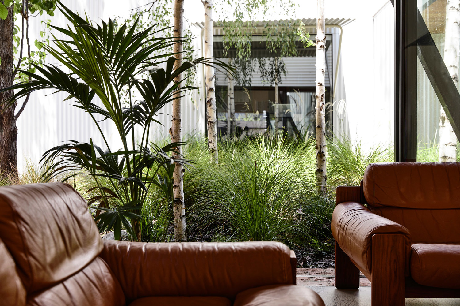 King Bill Austin Maynard Architects-25