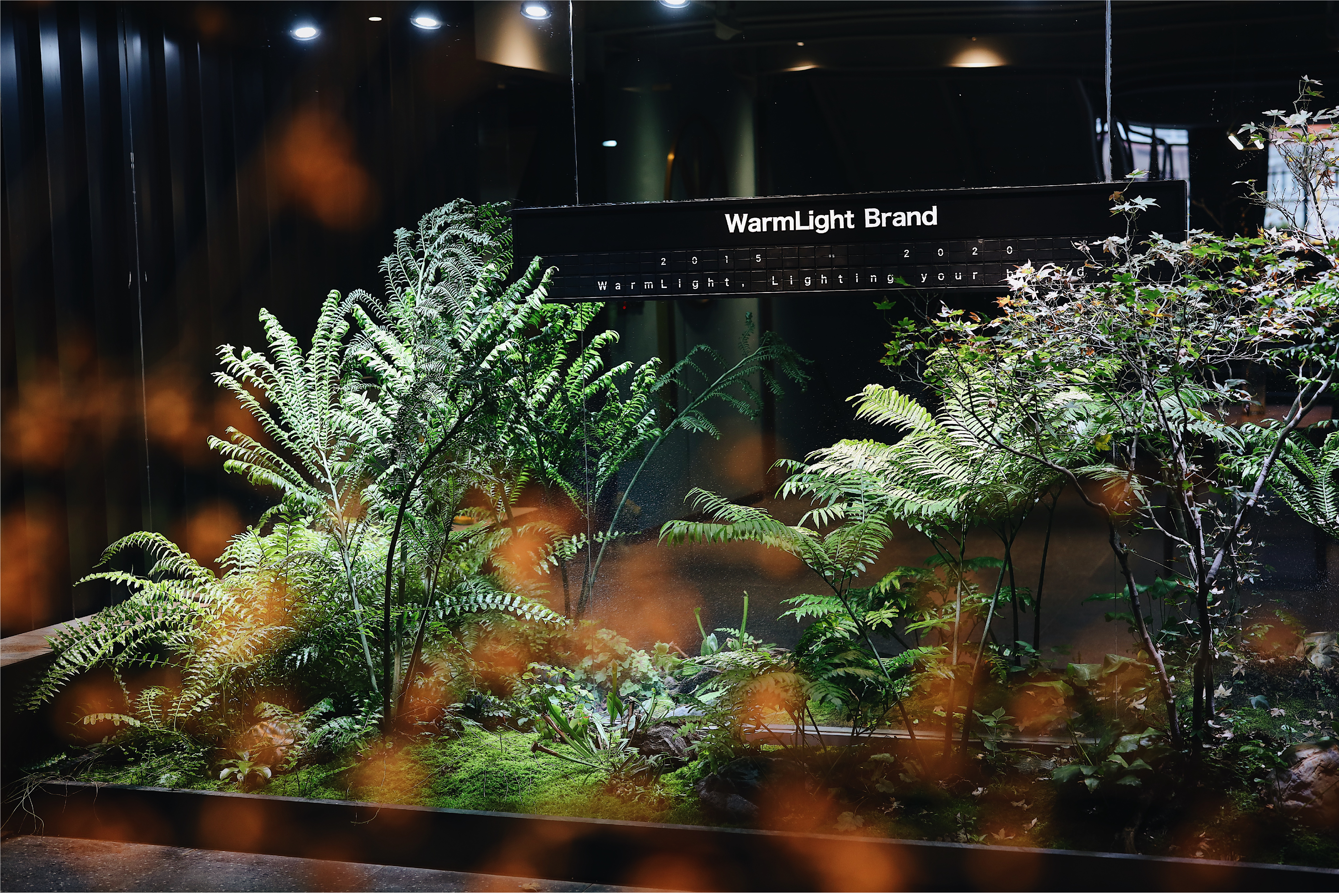 暖光设计总部办公空间丨中国泉州丨行光空间-32