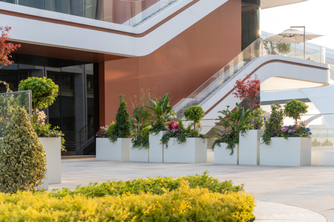 食游一体的活力空中花园|上海青浦西岑水上餐厅花园-37