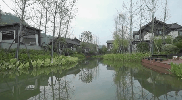 御榕·武夷度假酒店-58