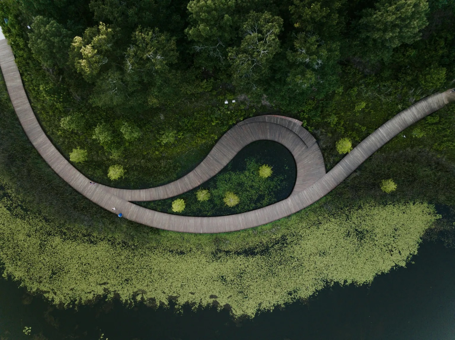 美国休斯顿纪念公园丨Nelson Byrd Woltz 景观设计事务所-29