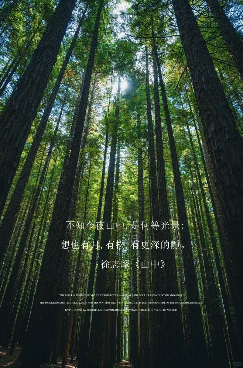天目山树华酒店·希尔顿格芮精选丨中国杭州丨大象建筑设计有限公司（建筑,景观）-2