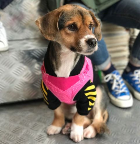 PARAS Coffee | 工业风中的美学空间-75