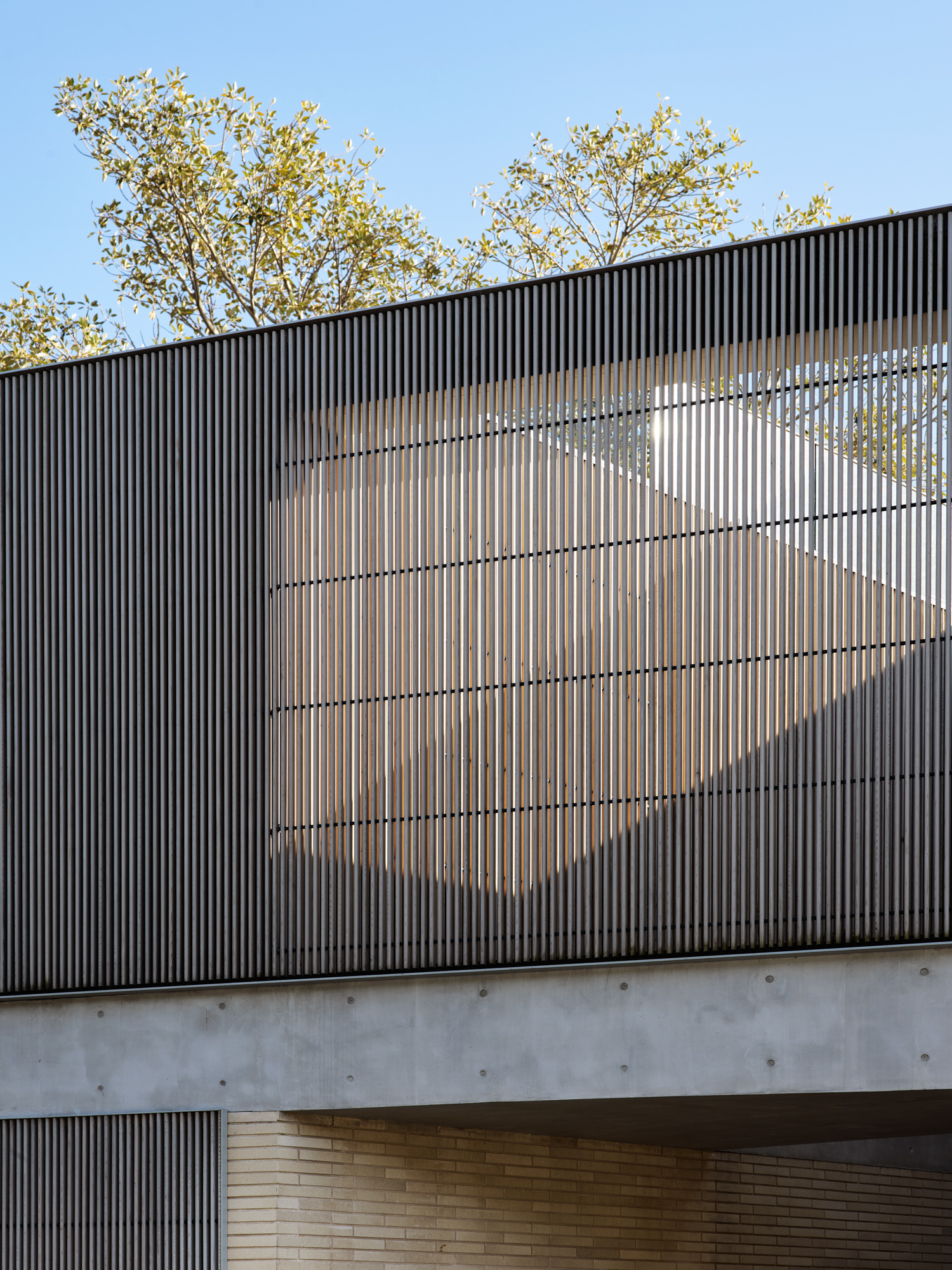 黑胡蜂之家丨澳大利亚丨Stafford Architecture-16