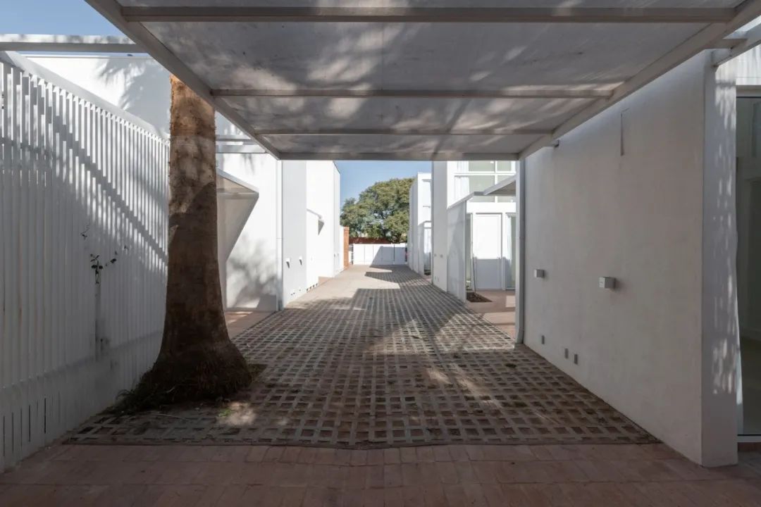 杜鹃花住宅区 | 600 平方米的单户住宅体验-19