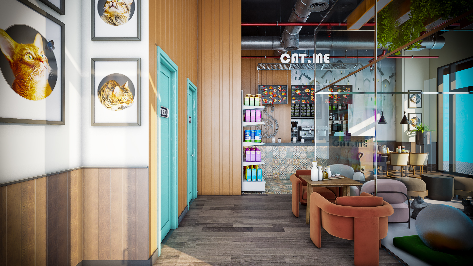 猫咖啡馆丨卡塔尔-3