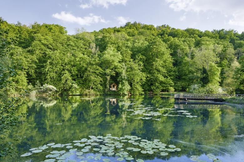 索菲恩鲁赫隐居所丨瑞士-0