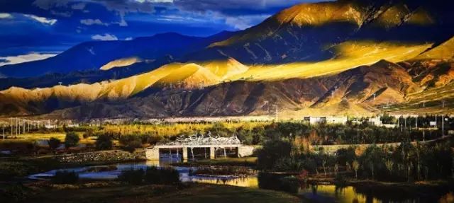 文艺大叔租下8亩林场，花16年种花养草，如今惊艳世人，连美国杂志都给他点赞-12