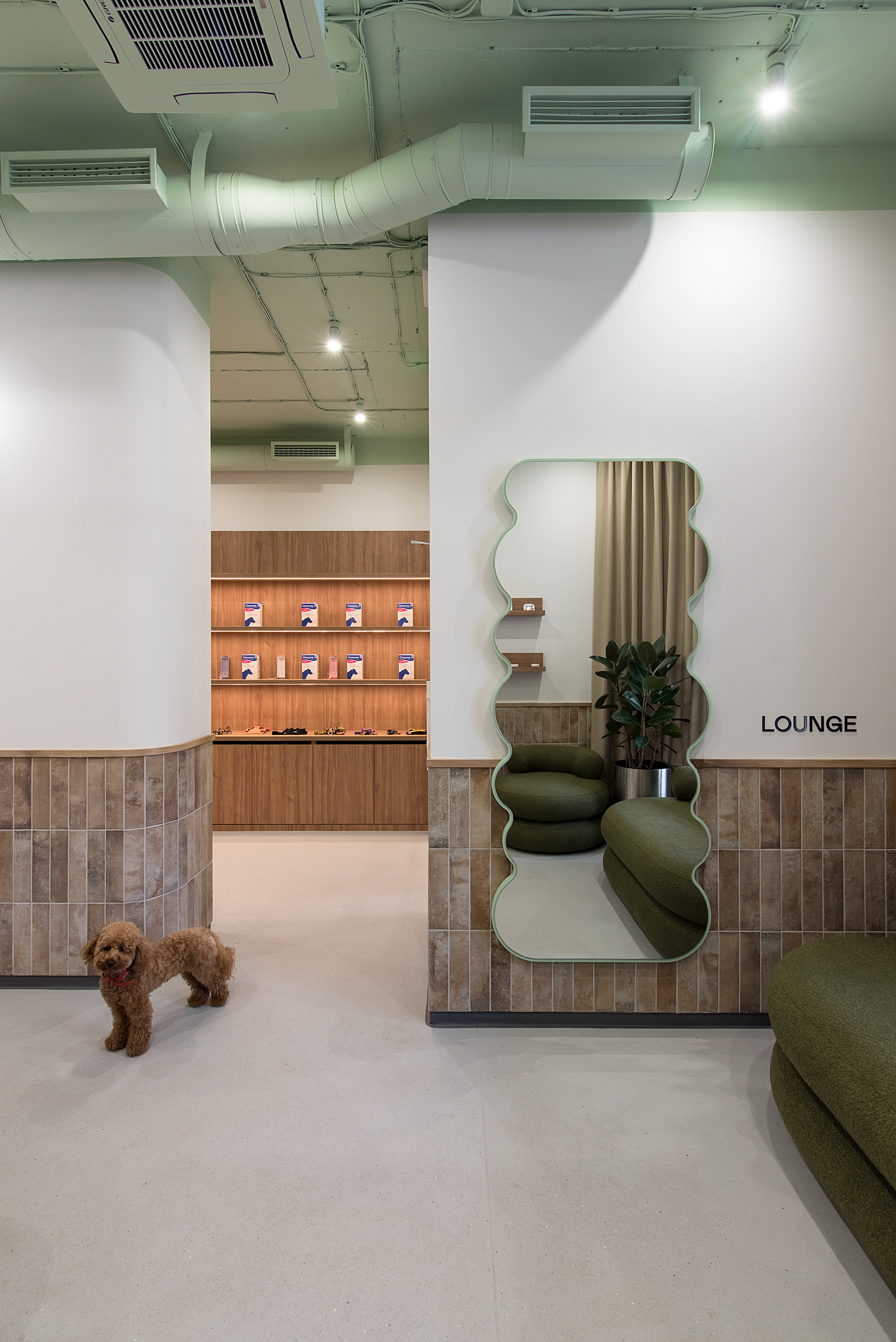 宠物医院丨乌克兰基辅-24