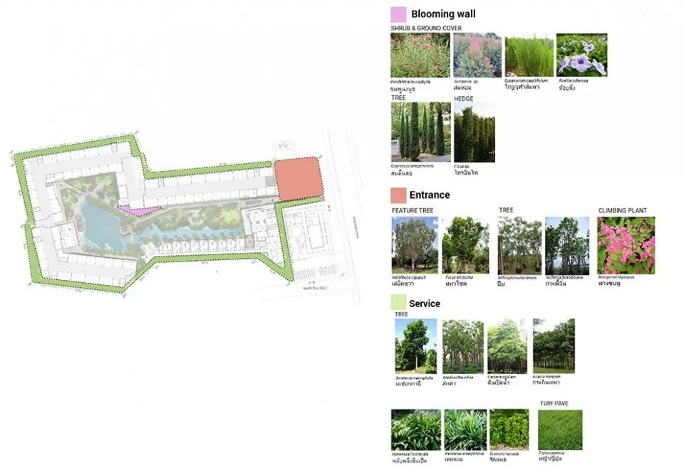 华欣异域风情滨海度假社区 · La Casita Huahin丨泰国丨Shma Company Limited-100