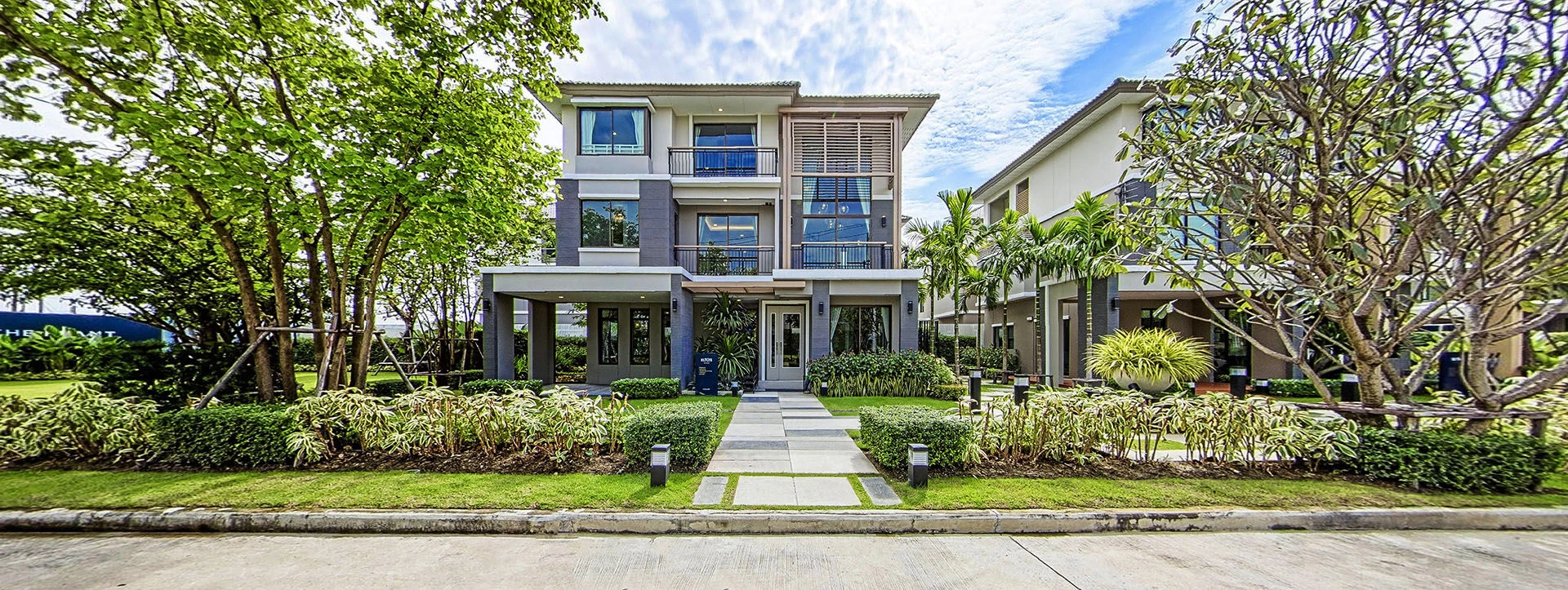 植物精英和帕森-38