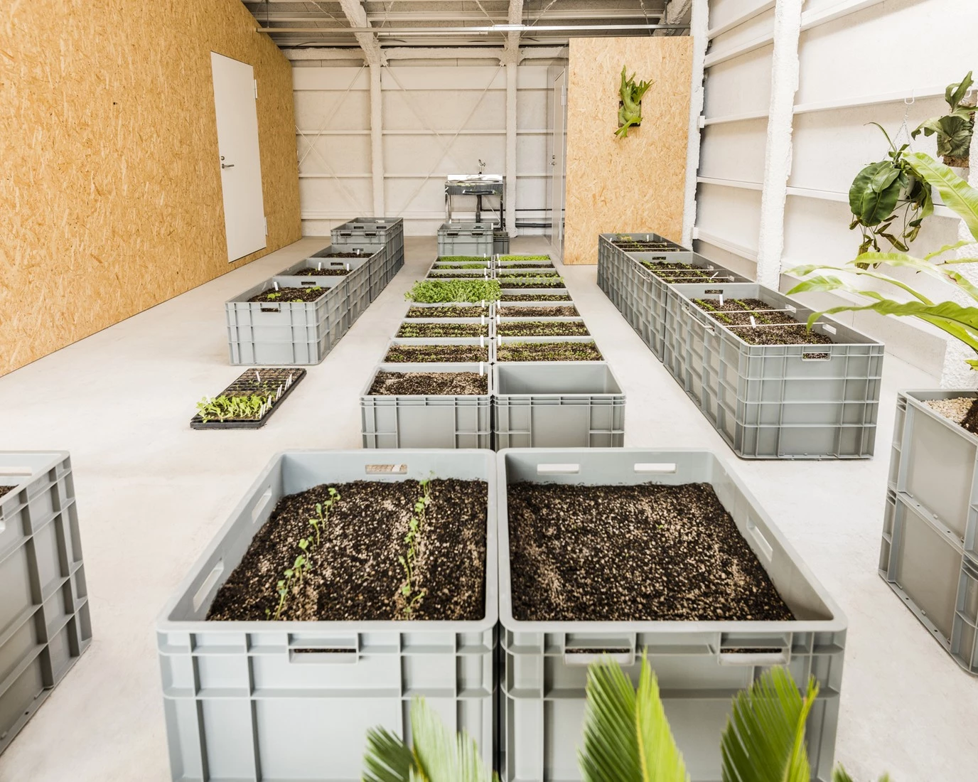 东京艺术家工作室，旧厂房的创意新生-43