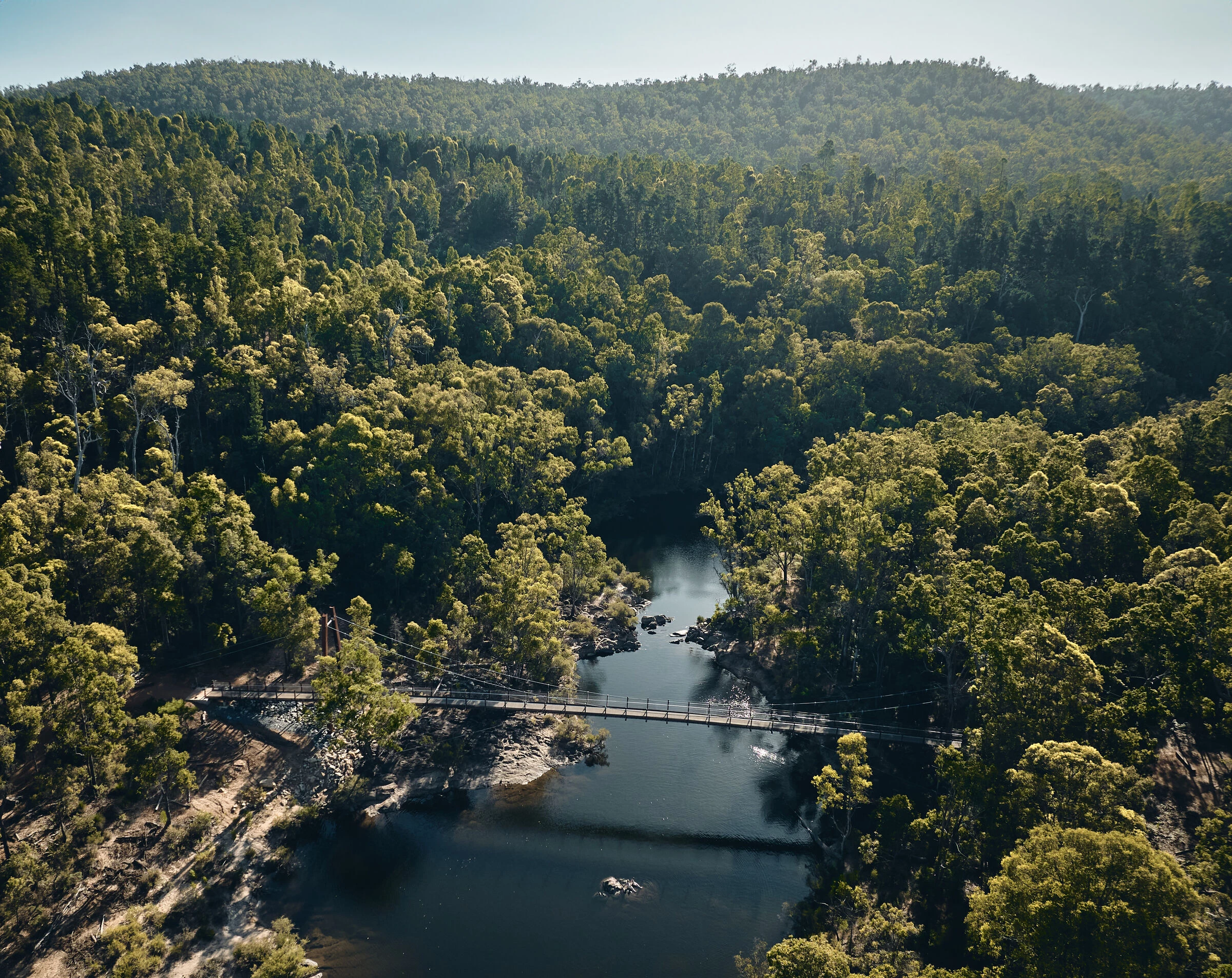 Dwaarlindjirraap 悬索桥丨澳大利亚-23
