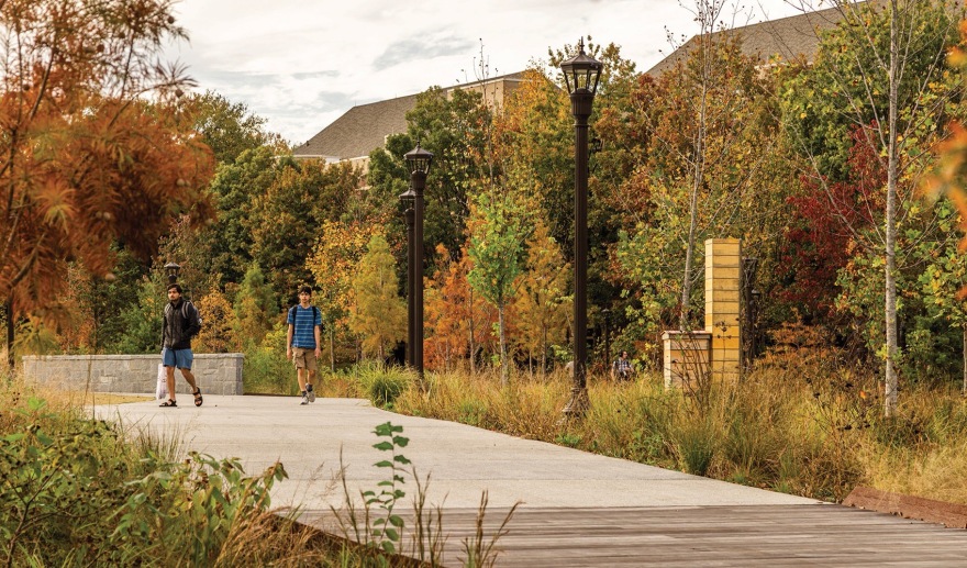 EcoCommons & 校园景观中的社会和生态弹性丨南非乔治-19