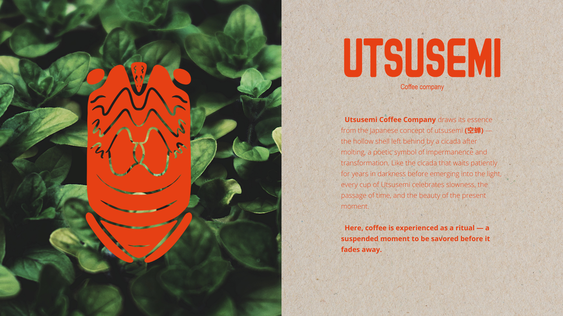 UTUSEMI - Coffee Company-1