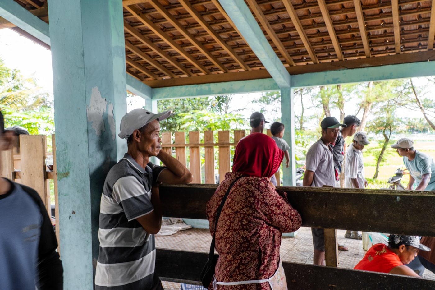 海岸线居民的生活故事-11