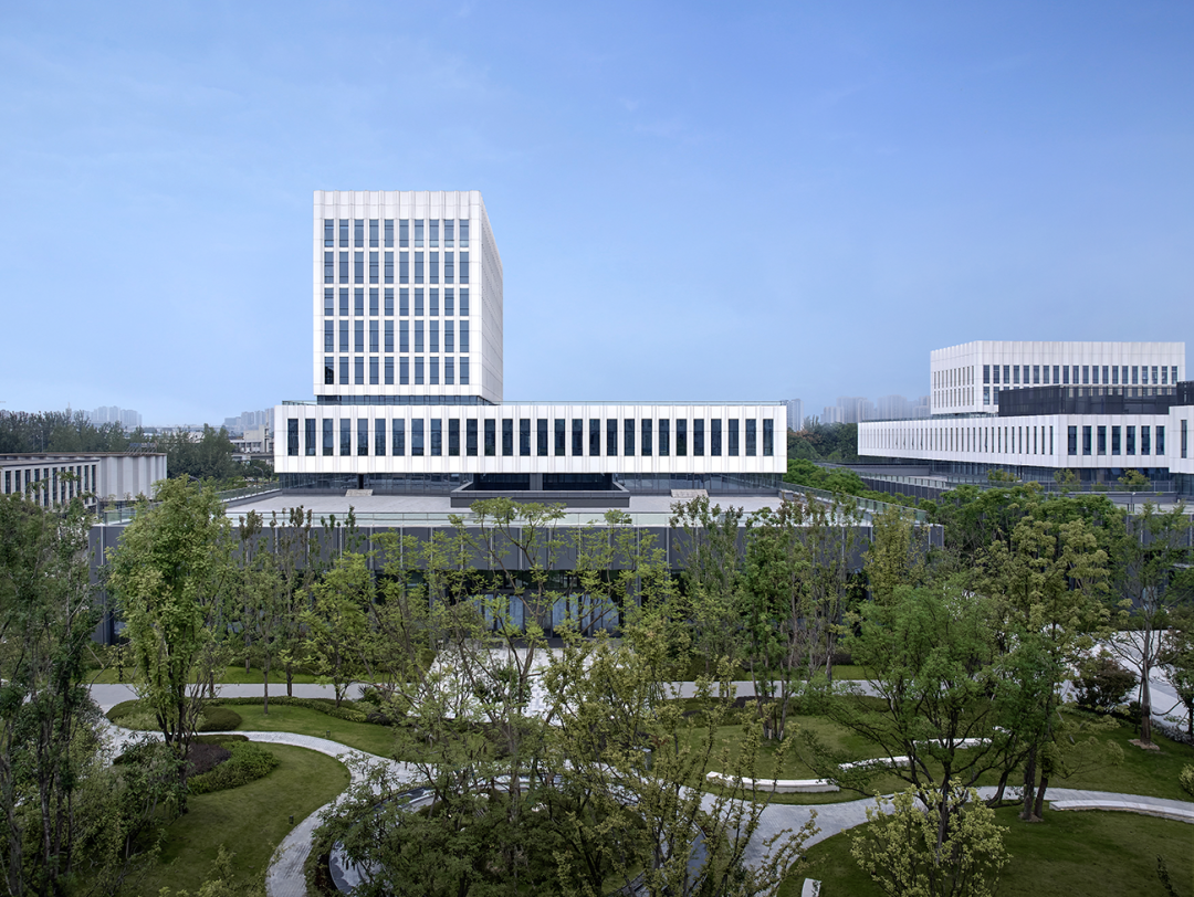 金奖|“世界柔谷”，崛起-33