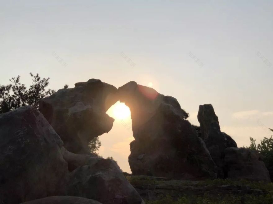 南宁罗汉松园 | 写意山水与天人合一的现代园林-95