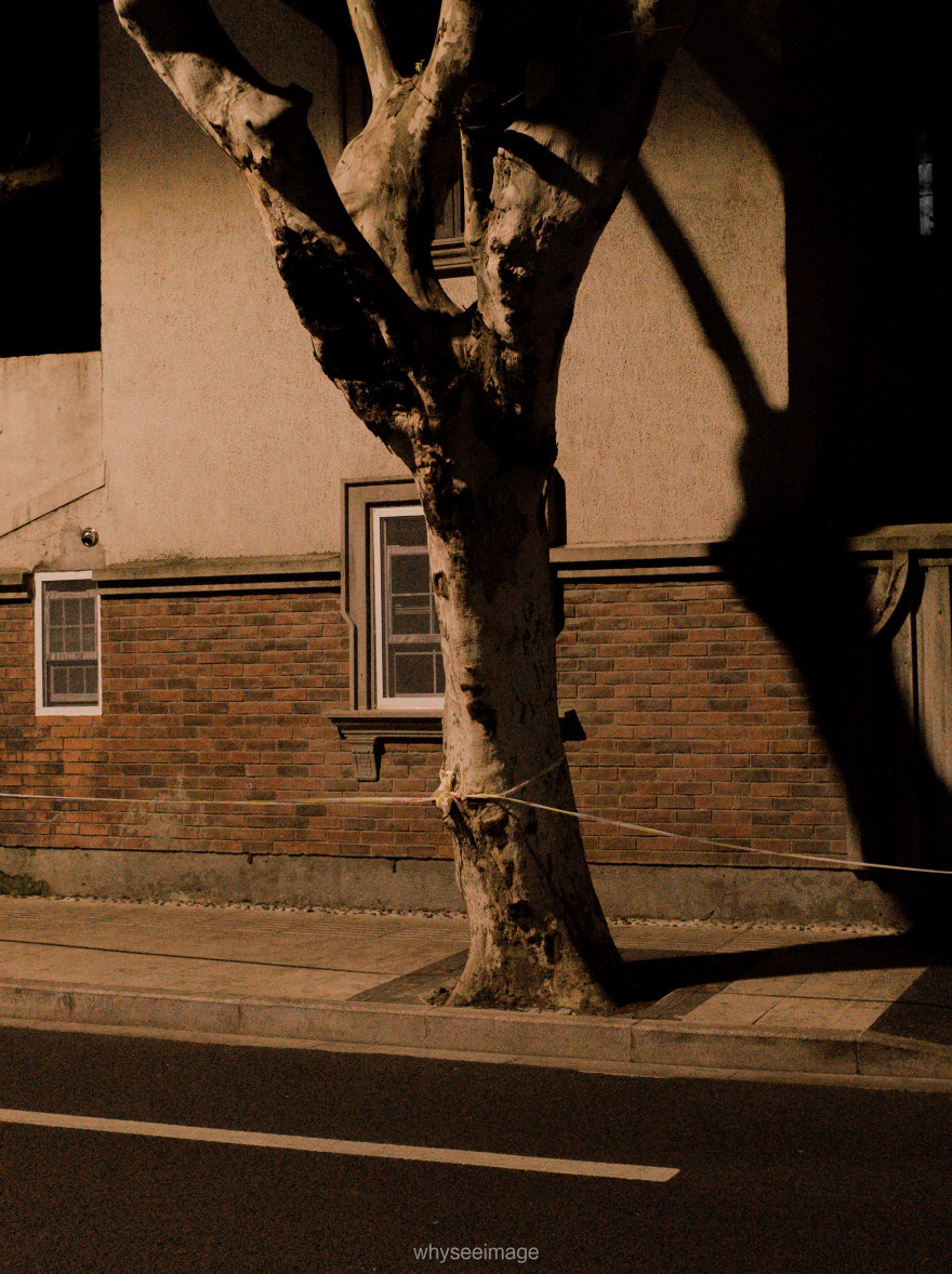 明亮时刻 · 不如回到街头丨中国上海丨whyseeimage-68