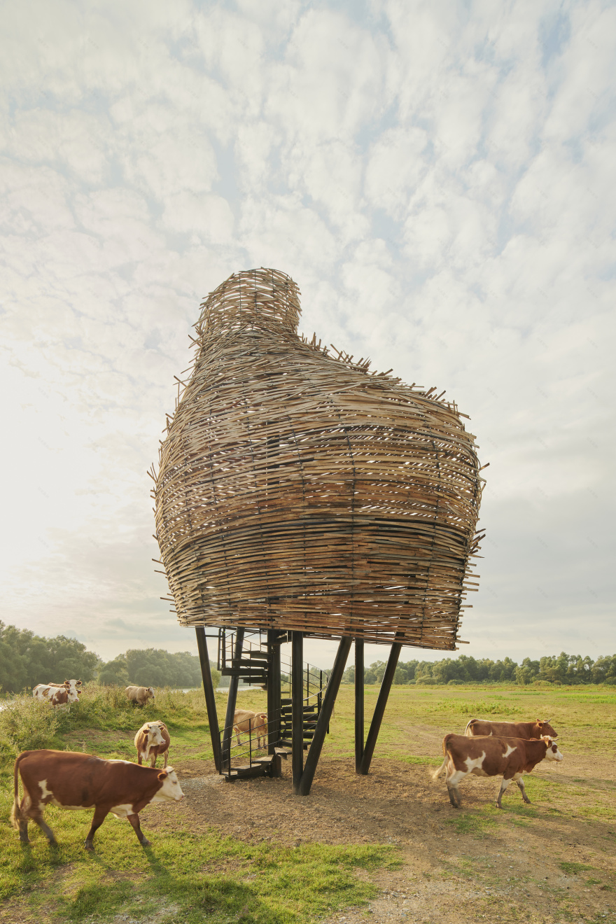 梦幻观测站 · 欧洲最大湿地探索丨roth&čerina architects-25