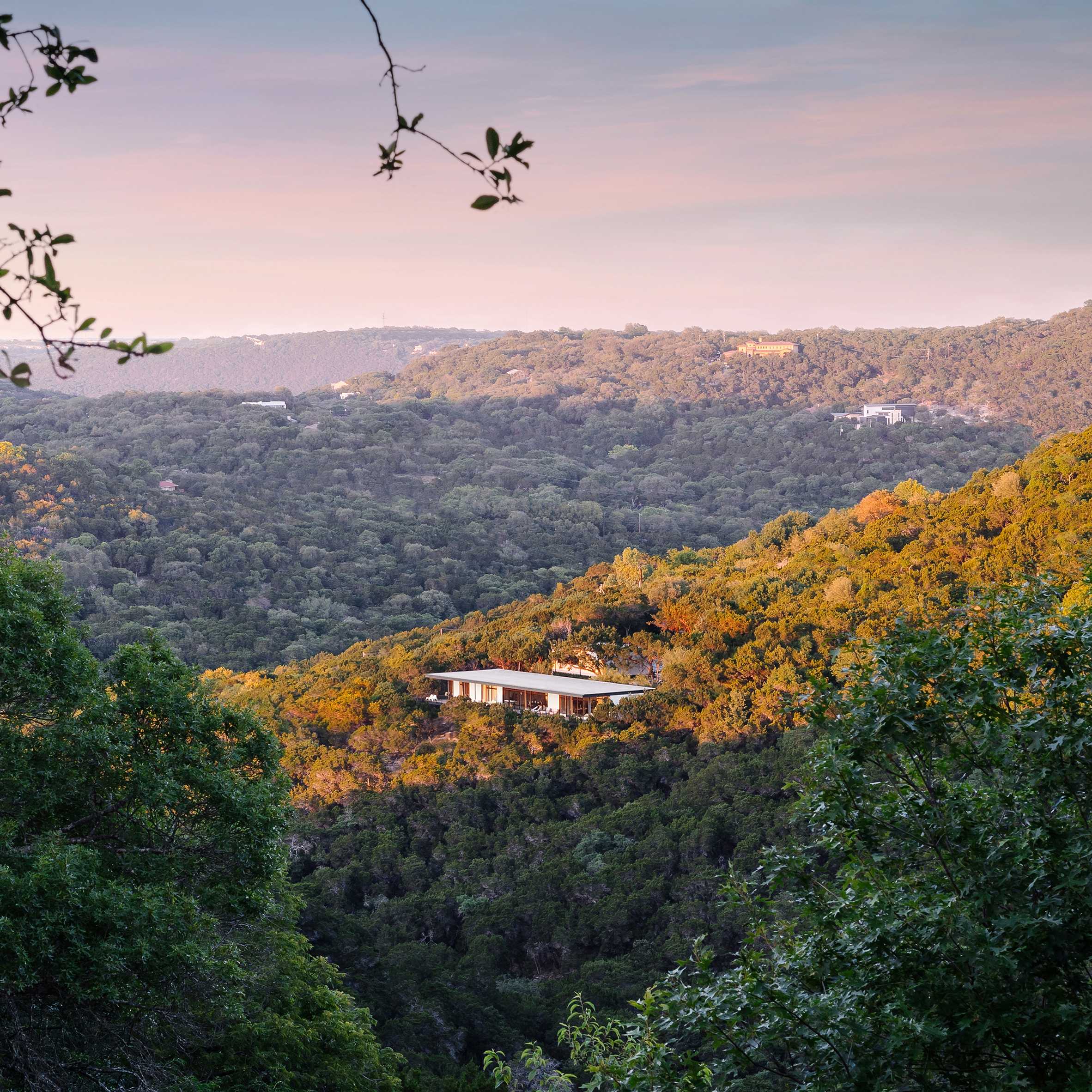 North Arrow Studio's Texas woodland residence takes cues from Mies van der Rohe-0