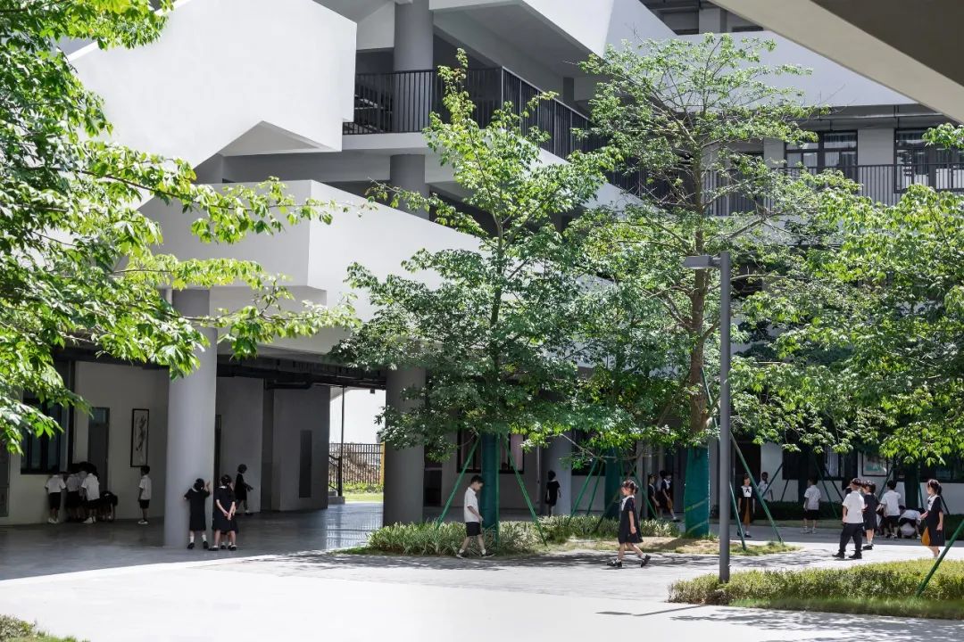 汕头市龙湖区中阳学校&汕特中心幼儿园丨中国汕头丨柏涛建筑设计(深圳)有限公司-32